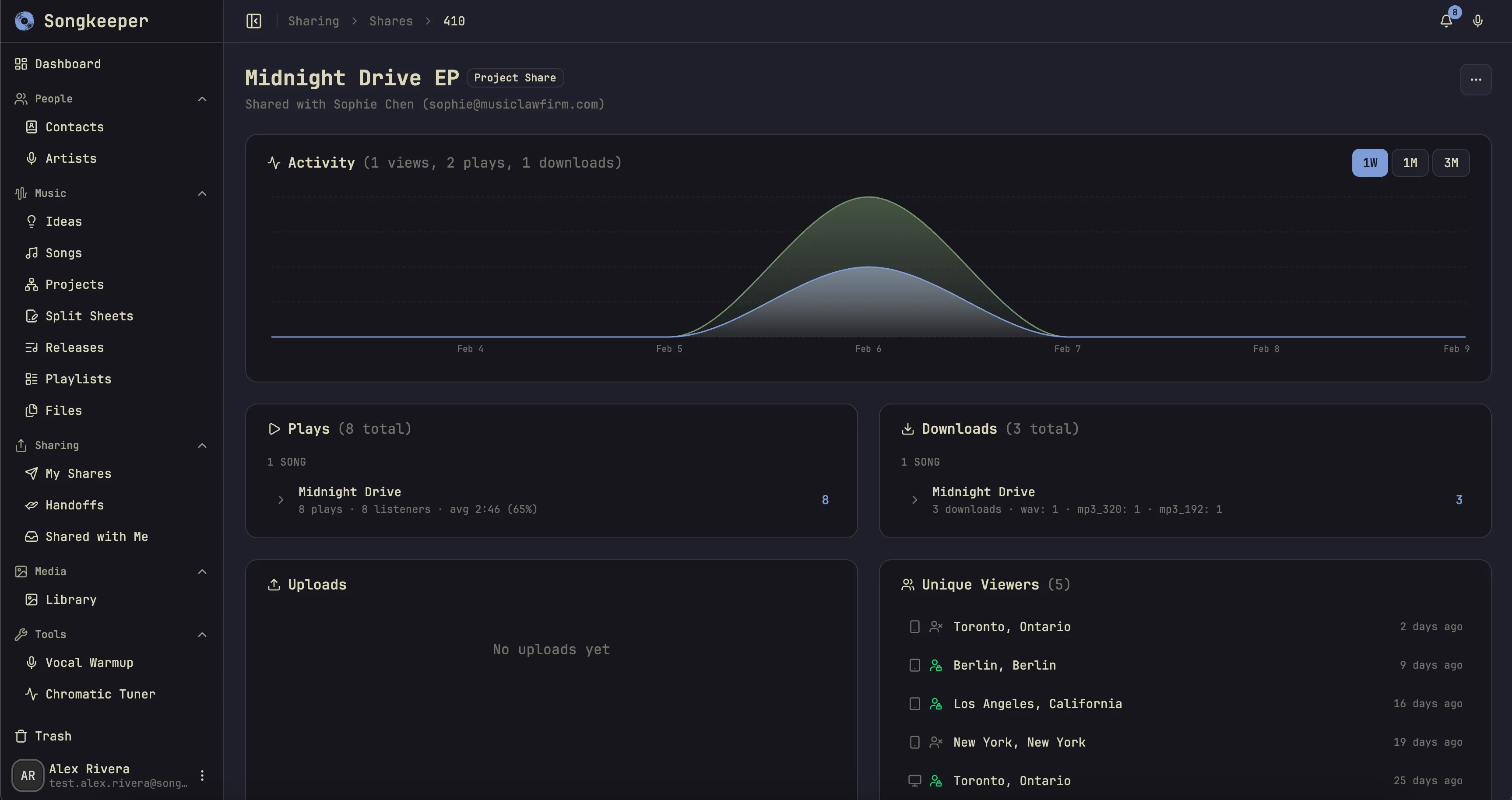 Analytics — see how your music performs
